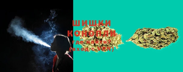спиды Магас