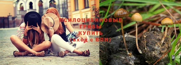 сатива Михайлов