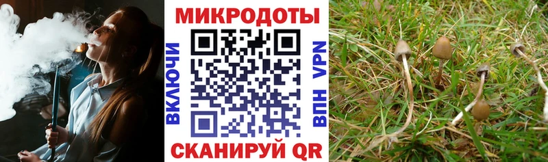 Купить  Тогучин  Псилоцибиновые грибы прущие грибы 